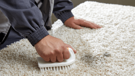 Professional Rug Cleaning Niddrie